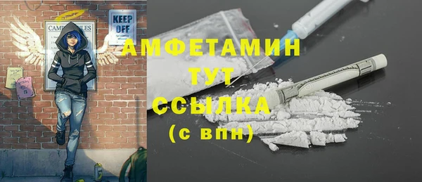 крисы Няндома