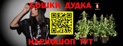 apvp Краснодар