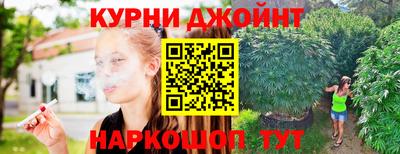 apvp Краснодар